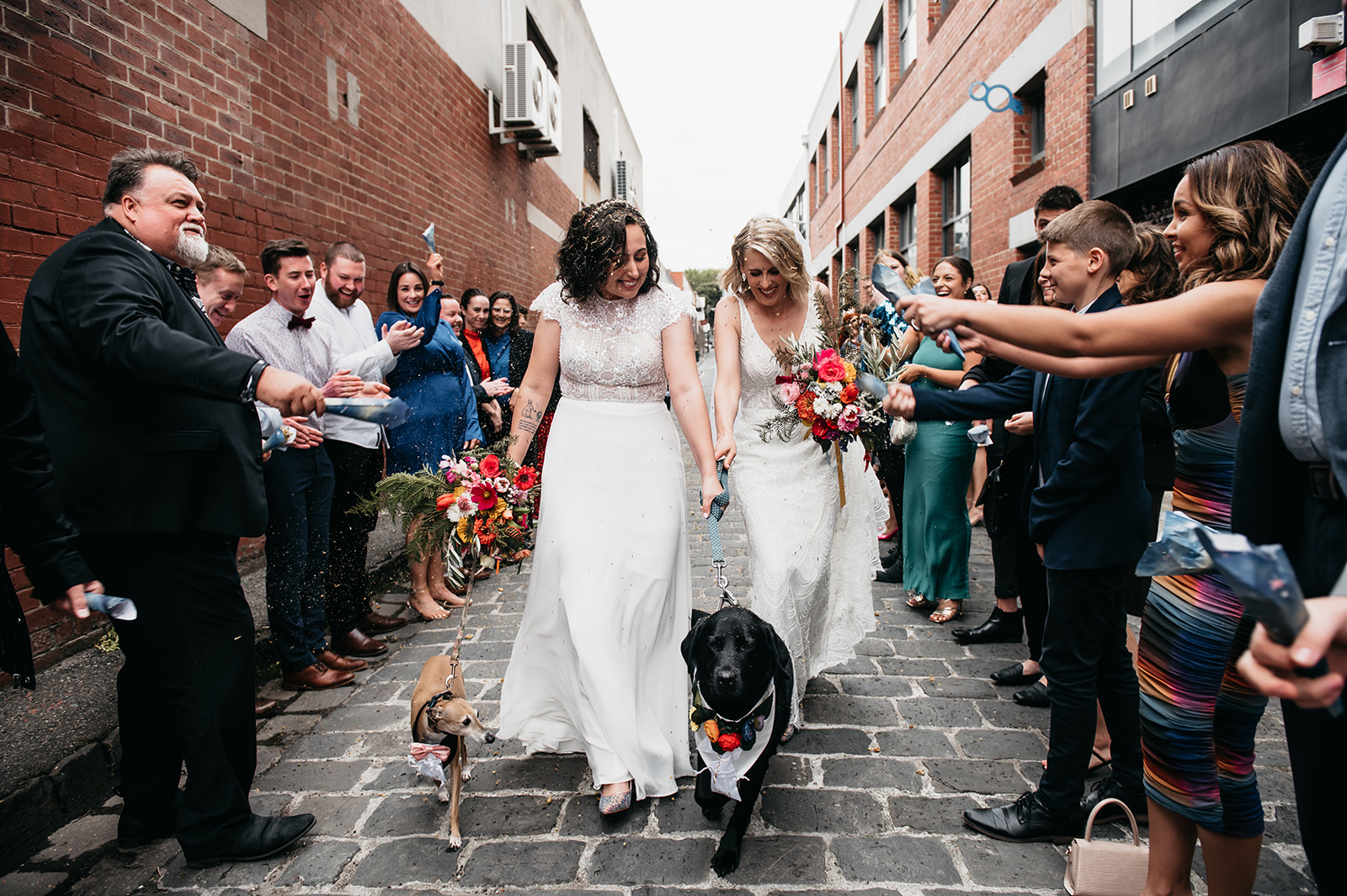 Brides exit with their dogs at Melbourne wedding