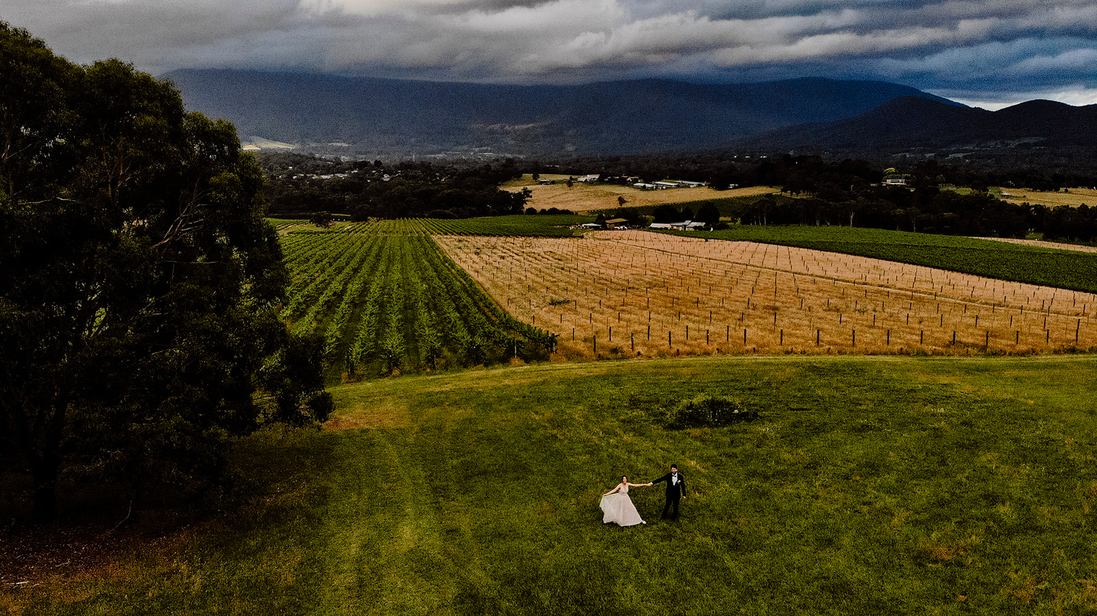 Drone shot of bride and groom at Bulong Estate